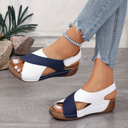 Blue-White
